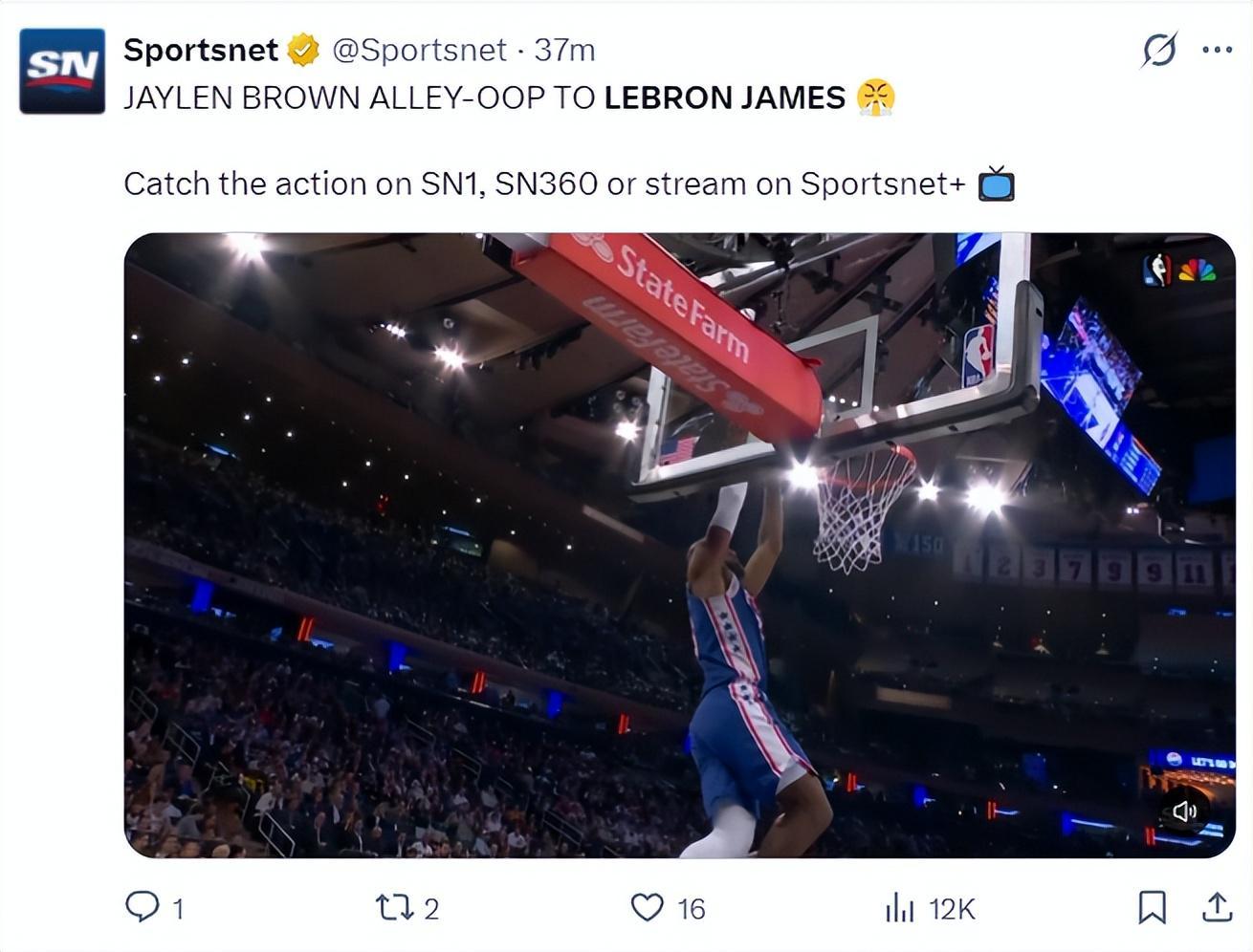 专业YABOSPORTS服务