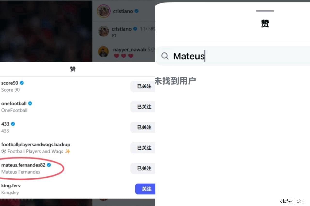 YABOSPORTS介绍图片