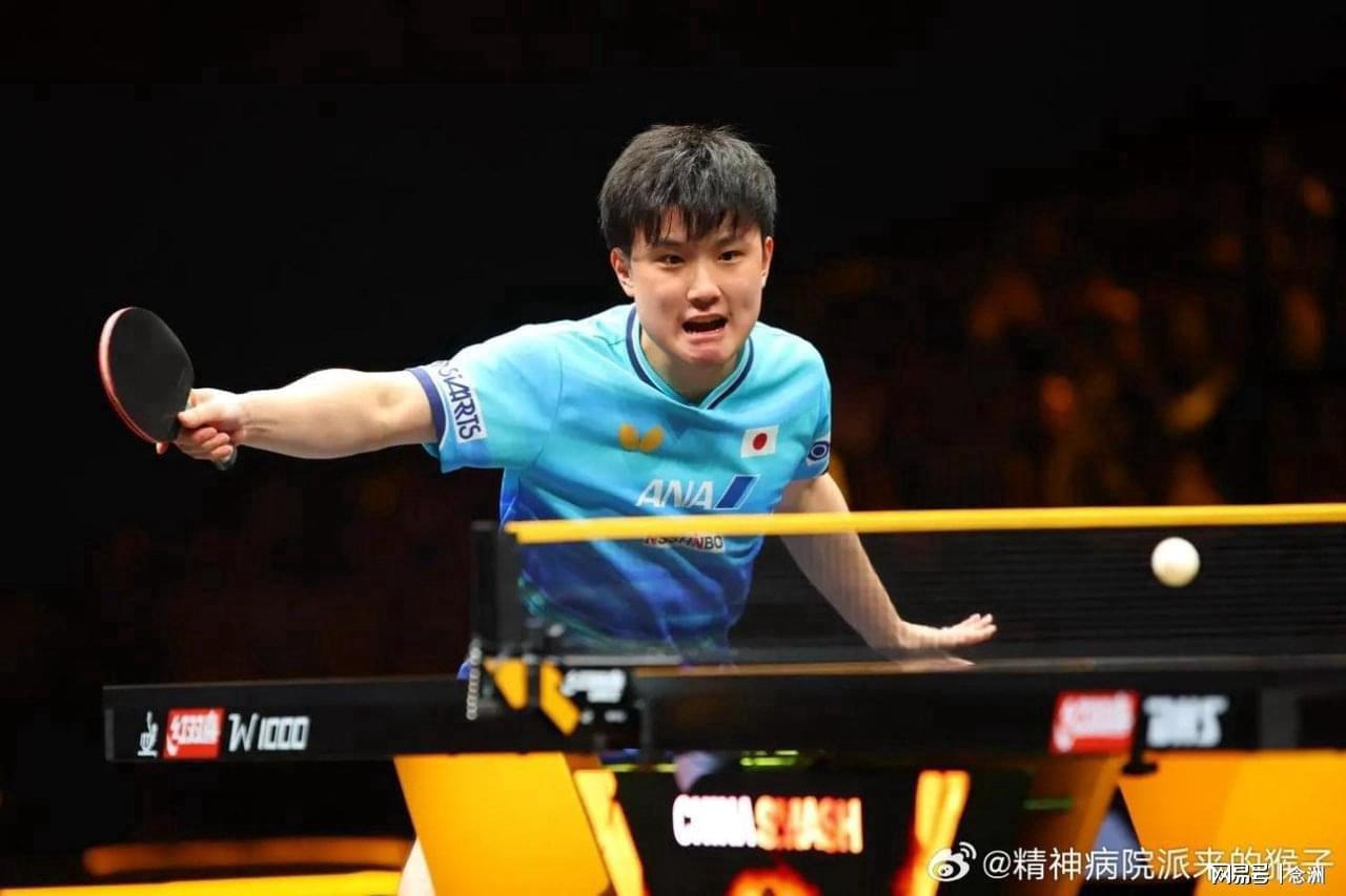 专业YABOSPORTS服务